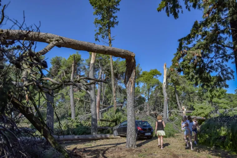 KATASTROFALNO NEVRIJEME POHARALO ZADAR: Vjetar puhao 29 m/s i čupao stabla