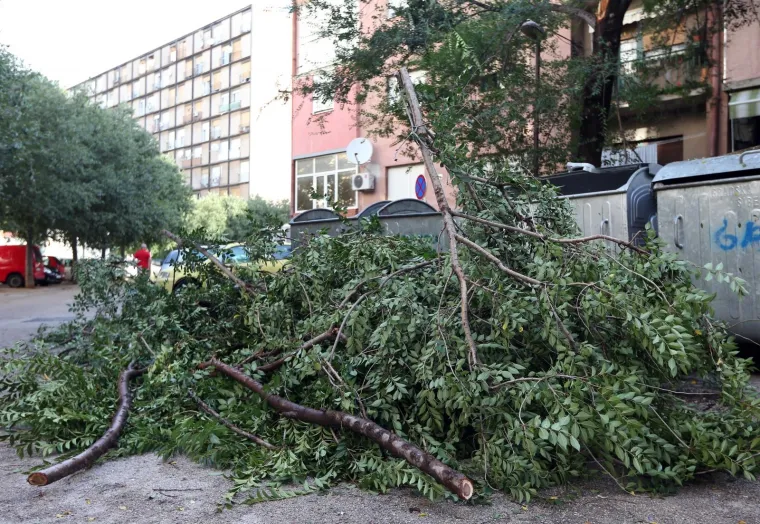 VELIKA MATERIJALNA ŠTETA NAKON OLUJE U ŠIBENIKU: Pogledajte iščupana stabla i uništene automobile na ulicama