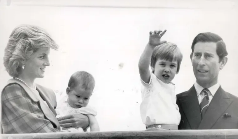 9. Njezina omiljena boja bila je ružičasta.

Priča se da je Diana cijeli život voljela ružičastu boju. Zato je ovu boju nosila više puta, a bila je to nijansa koja se stalno ponavljala u njenom ormaru.
