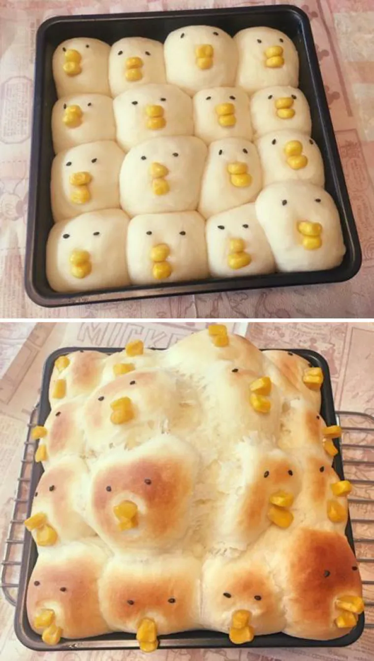 Mislite da loše kuhate? Nakon što vidite kako ovi ljudi kuhaju osjećat ćete se kao masterchef