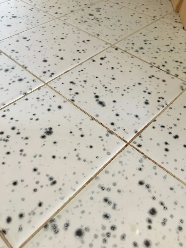 WC školjka u kuhinji? Najgori dizajni kuhinja koji su toliko loši da su smiješni!