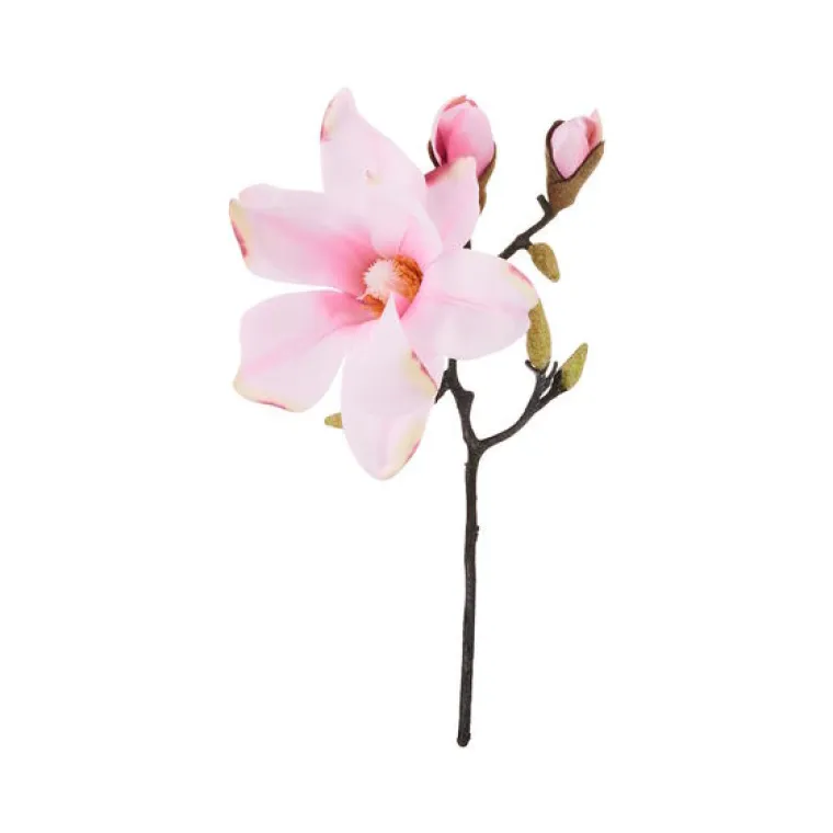 Umjetna magnolija, Butlers, 29,92 kune