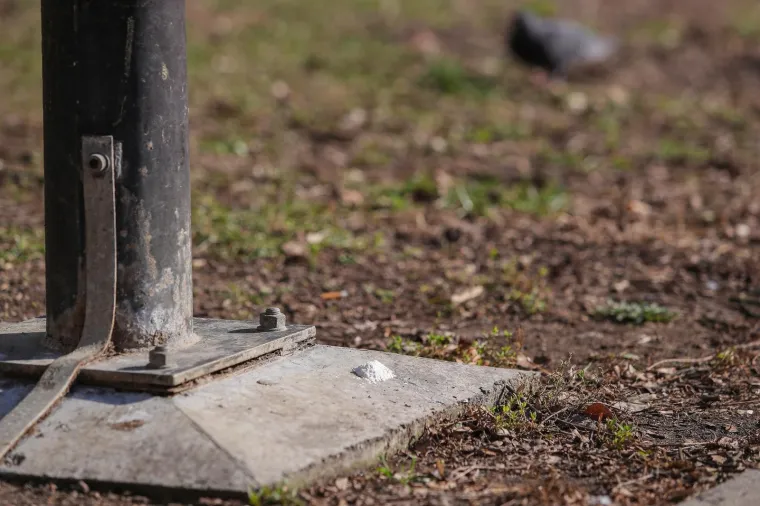 Ako imate kućnog ljubimca, oprezno! Na ulicama u Zagrebu se pojavila 'bijela tvar' koja bi mogla biti opasna