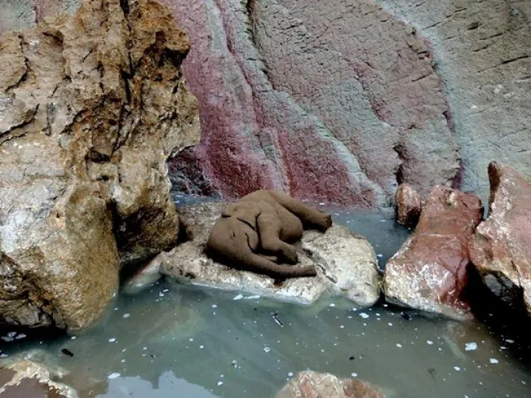 Mi bismo se prepali: Ove skulpture u pijesku izgledaju prerealno