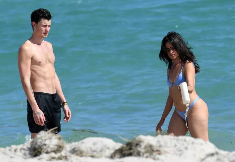 Camilu Cabello trolovi napadaju jer je sad ima malo više za voljeti, ali Shawn Mendes ne može skinuti ruke s njene raskošne pozadine