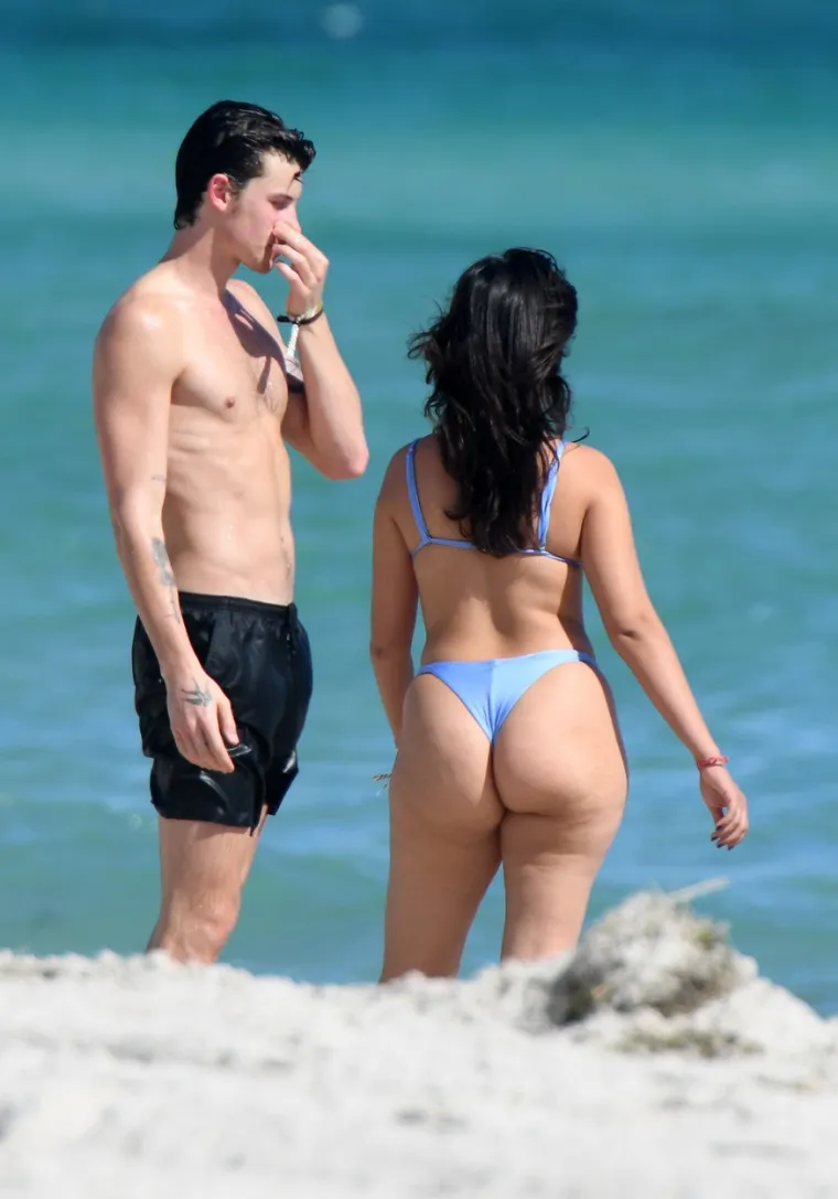 Camilu Cabello trolovi napadaju jer je sad ima malo više za voljeti, ali Shawn Mendes ne može skinuti ruke s njene raskošne pozadine