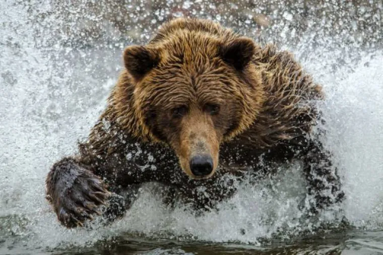 BOLJE SE RODITI BEZ PAMETI NEGO BEZ SREĆE: Fotografije koje su dokaz da je za savršenstvo nekad dovoljna čista sreća