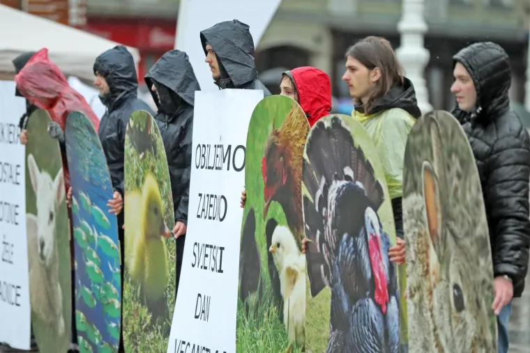 VEGANI IZVELI PERFORMANS NA TRGU BANA JELAČIĆA: 'Ni bik Jerry ni ostale životinje ne žele u klaonice'