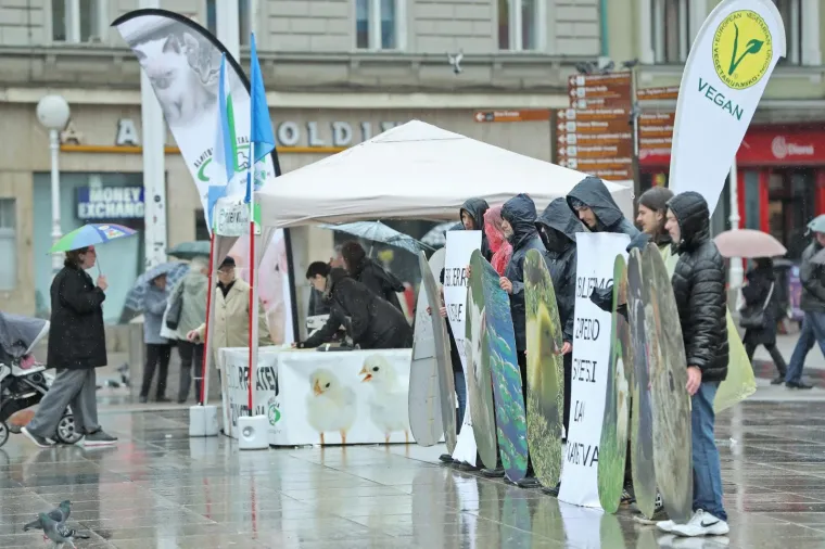 VEGANI IZVELI PERFORMANS NA TRGU BANA JELAČIĆA: 'Ni bik Jerry ni ostale životinje ne žele u klaonice'