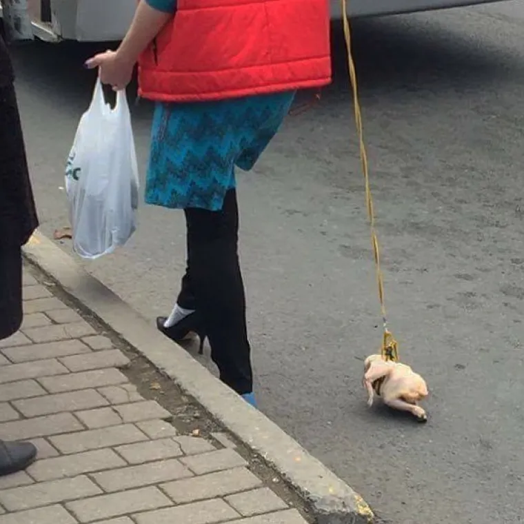Jesu li ovo najbizarnije fotografije iz javnog prijevoza?