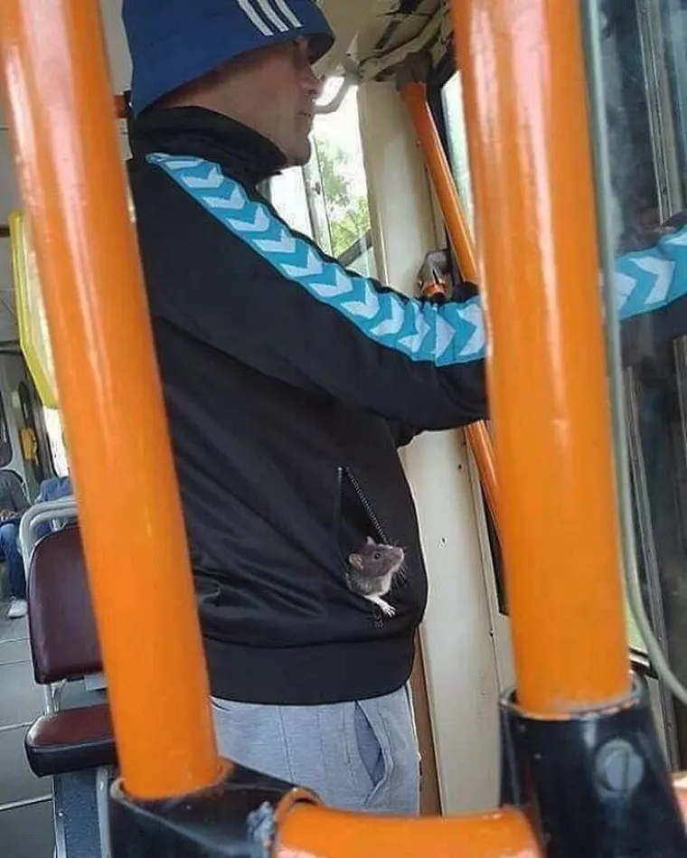 Jesu li ovo najbizarnije fotografije iz javnog prijevoza?