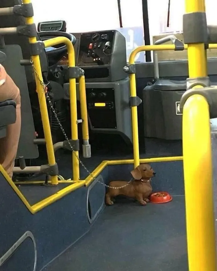 Jesu li ovo najbizarnije fotografije iz javnog prijevoza?