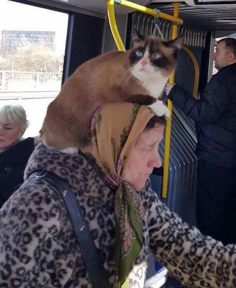 Jesu li ovo najbizarnije fotografije iz javnog prijevoza?