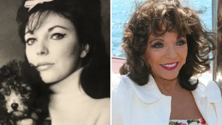 Joan Collins kultna je britanska glumica i spisateljica, seks-simbol 1980-ih. Želeći se proslaviti kao glumica, rano je otišla u Hollywood, ali je isprva bila poznatija po vezama sa slavnim glumcima nego umijeću na filmskom platnu. Njen pravi procvat dolazi kada su joj ponudili ulogu Alexis Carrington u TV-sapunici Dinastija. 