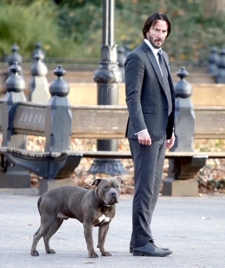 Iako se njegov imetak procjenjuje na više od 360 milijuna dolara, Keanu se vozi podzemnom željeznicom, ne živi u vili i nema zaštitare. U kazalištu uvijek sjedi među ostalim gledateljima, a u kino uvijek odlazi sam, dok mu jedino društvo čine kokice.