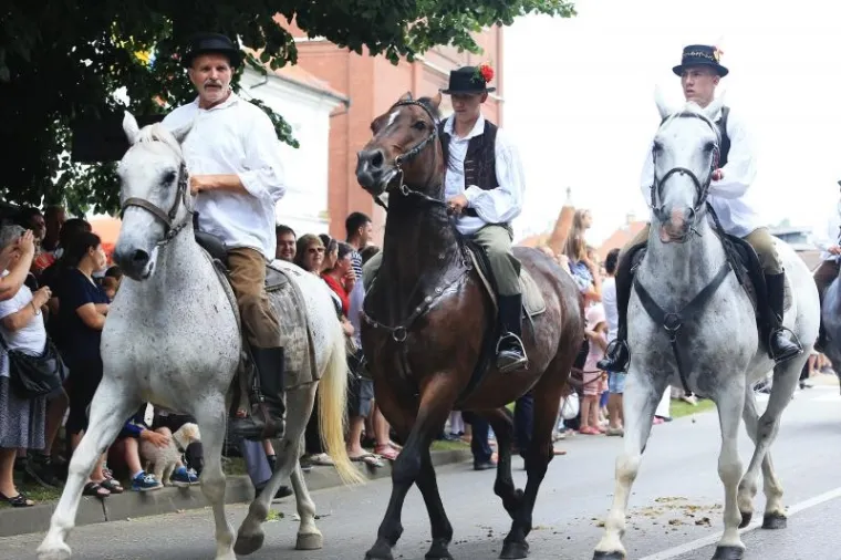 TRADICIJA SE NASTAVLJA: Održana svečana povorka povodom 50. Đakovačkih vezova