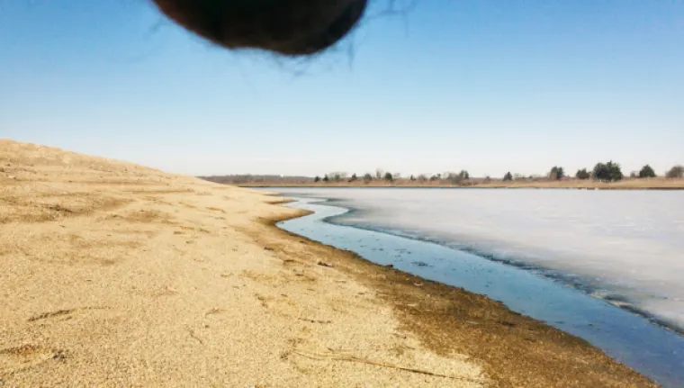 JAJA NA OKO: Novi trend je slikanje pejzaža s mošnjama u kadru
