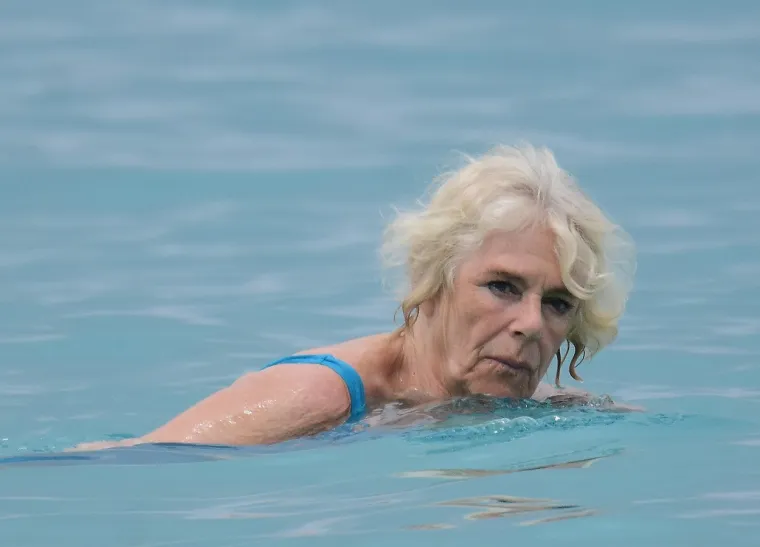 Zbog poštovanja prema tragično preminuloj princezi Diani, Camilla nakon vjenčanja nije koristila titulu princeze od Walesa, iako je zakonski imala to pravo. Camilla je, nakon što Charles postane kralj, trebala postati princeza pratilja, a u tom bi slučaju Camilla bila prva supruga britanskog kralja u povijesti koja ne bi imala titulu kraljice.