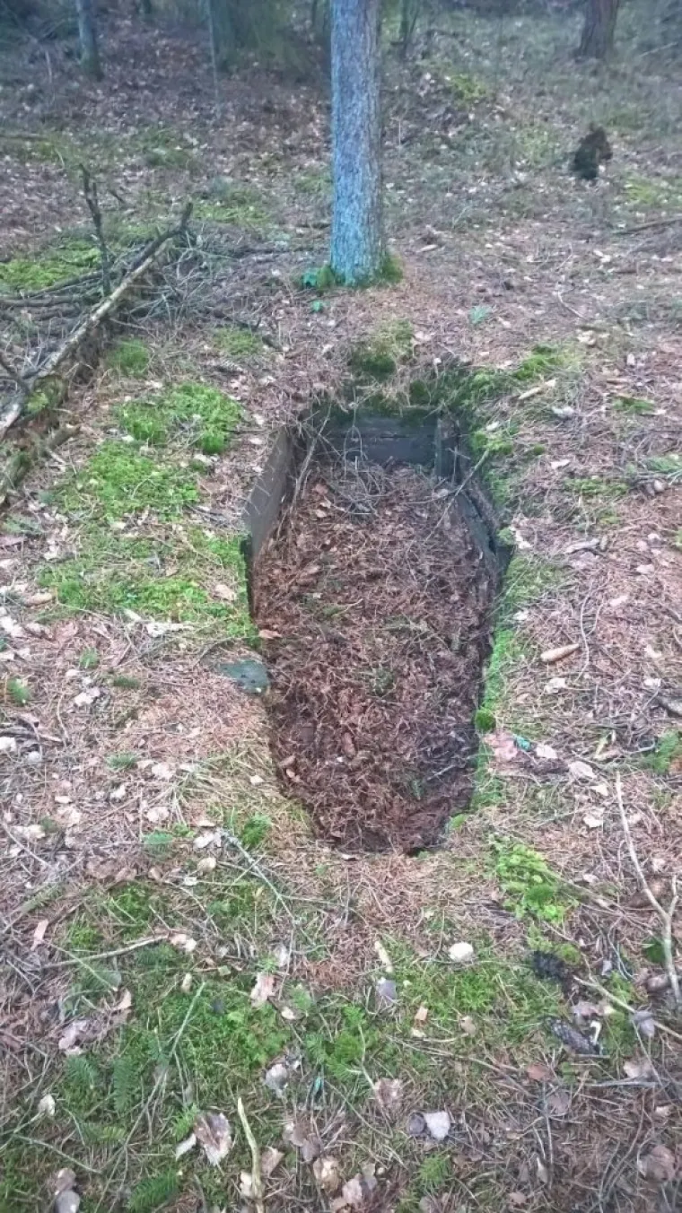 KRENULI SU NA KAMPIRANJE, ALI SU IH U ŠUMI DOČEKALA BIZARNA IZNENAĐENJA: Biste li se usudili tu prenoćiti?