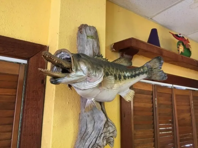 IMAMO TAKO PUNO PITANJA, A TAKO MALO ODGOVORA: Zašto je beba u lateksu? Gitara od slanine? Opasna kava...
