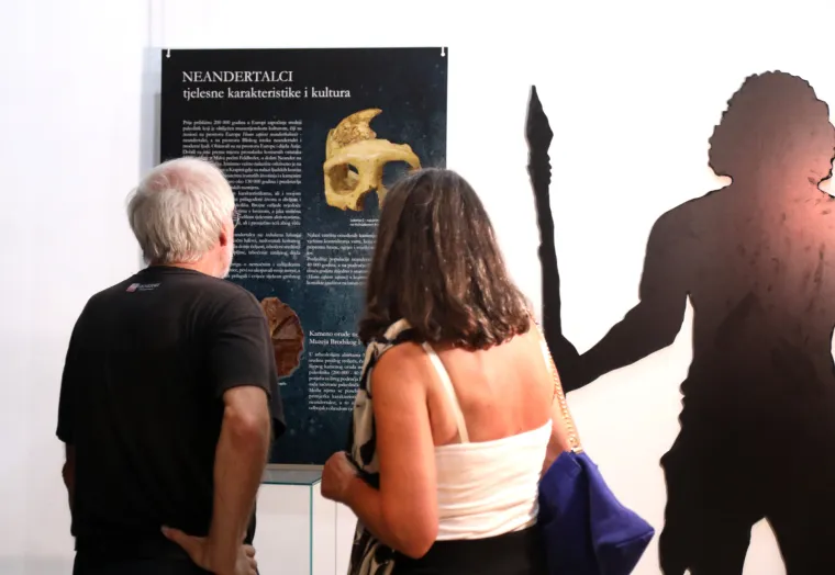Mamut iz posljednjeg ledenog doba stigao u Šibenik. Našim krajem ovaj div hodao je prije 96.000 godina