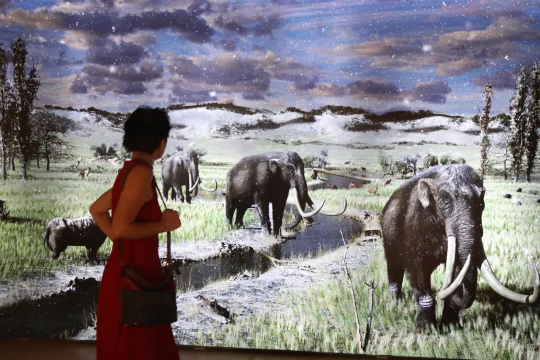 Mamut iz posljednjeg ledenog doba stigao u Šibenik. Našim krajem ovaj div hodao je prije 96.000 godina