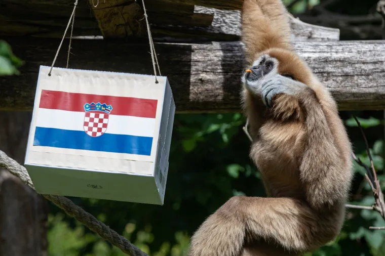 Kent prognozirao pobjedu Hrvatske protiv Škotske