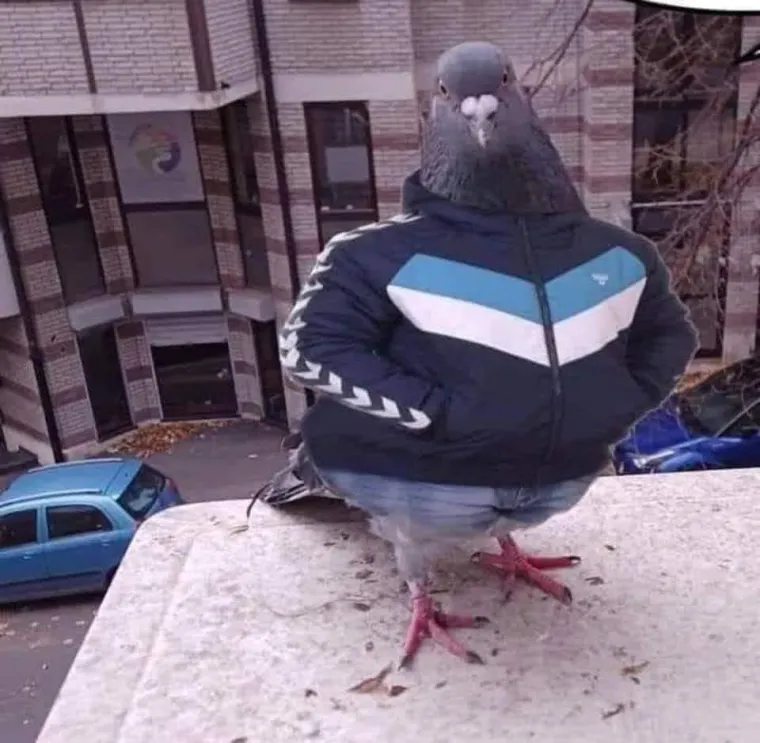 Pogledajte 70 urnebesnih 'simptoma' koji nedvojbeno ukazuju na to da ste okruženi Slavenima