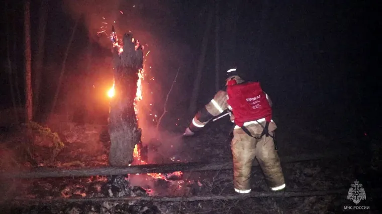 Foto:Profimedia