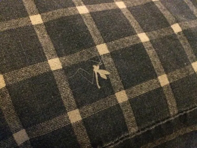 KOLIKE SU BILE ŠANSE DA IM SE OVO DOGODI? Oni su zaista imali više sreće nego pameti. Jeste li vidjeli išta slično?