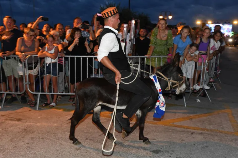 Održana tradicionalna utrka magaraca u Tribunju. Pobijedio Vodičanin Roko, uz bok mu stigla i dva Jakova