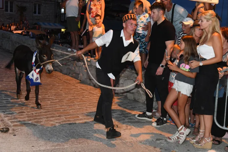 Održana tradicionalna utrka magaraca u Tribunju. Pobijedio Vodičanin Roko, uz bok mu stigla i dva Jakova