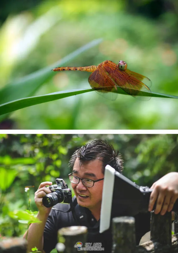 KAKO NASTAJU ONE ČAROBNE FOTOGRAFIJE? Otkrivene tajne iza kulisa koje bi vas mogle iznenaditi