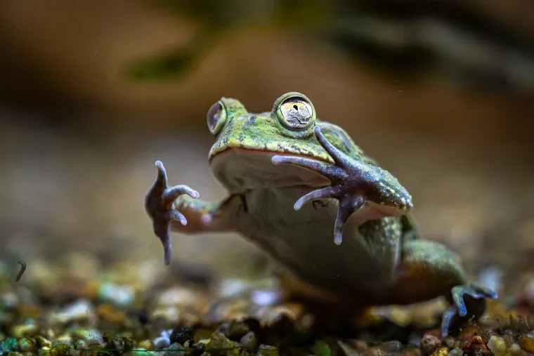 Snažno nevrijeme, poplave, sportski uspjesi, Prijovićmanija. Ovo je top 100 fotografija prema izboru fotografa