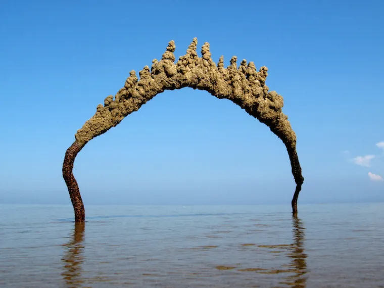 Matthew Kaliner predavač je s Harvarda koji u slobodno vrijeme voli stvarati čudesne skulpture od pijeska. Iako neke od njih izgledaju kao da prkose zakonima fizike, umjetnik priznaje da se služi štapovima, nitima i kopanjem temelja kako bi učinio svoje skulpture otpornijima.