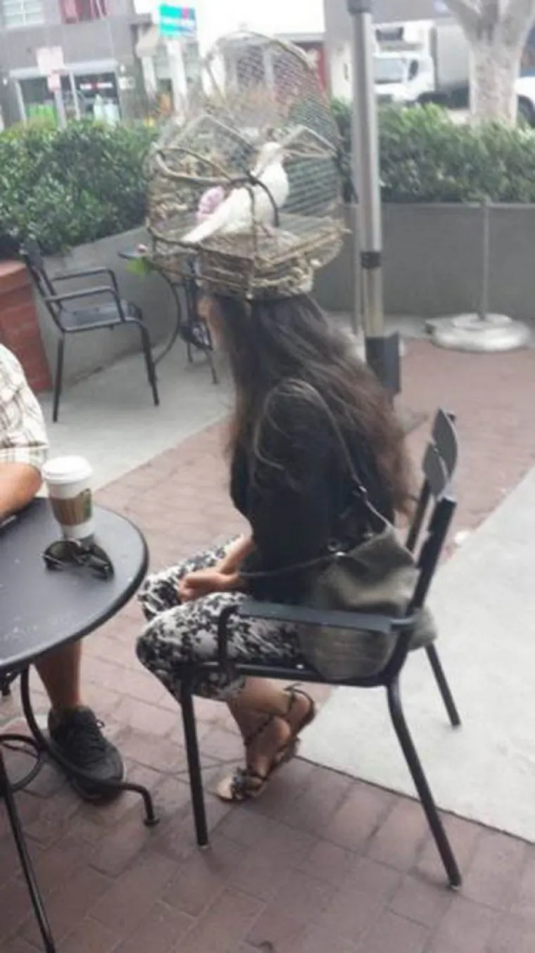 INTERNET JE NAJBIZARNIJE I NAJBLESAVIJE MJESTO NA KOJEM MOŽETE BORAVITI: Ovo su najbolji razlozi zašto