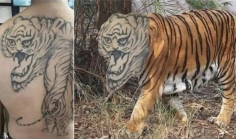 NAJBIZARNIJE FOTOGRAFIJE NA INTERNETU: Penisi, beba u želatini i dječak od vune samo su početak...