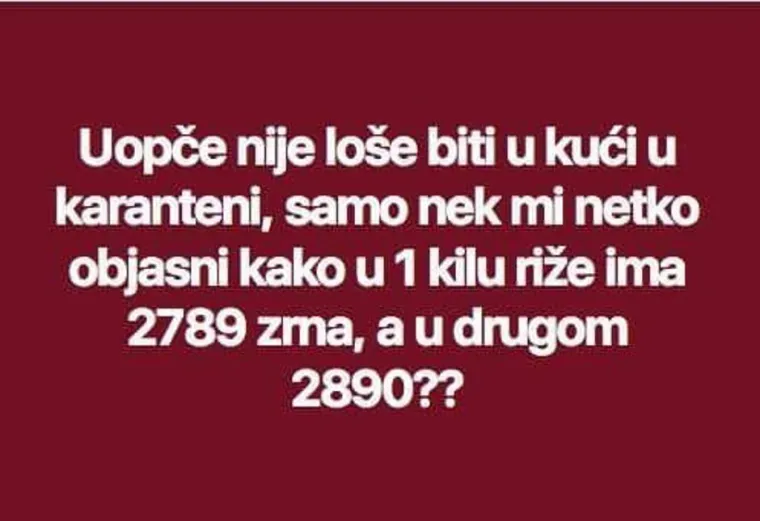 HRVATI ZBIJAJU VRHUNSKE ŠALE NA RAČUN KORONE: 'U dućanima više nema brašna. Kaj je, sad nitko nije alergičan na gluten?'