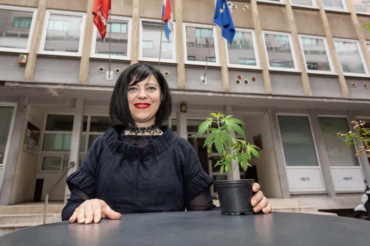 MIRELA HOLY PREDSTAVILA 'LEX CANNABIS': U žardinjeru iza SDP-a posadila jednu biljku