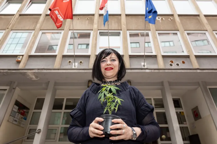 MIRELA HOLY PREDSTAVILA 'LEX CANNABIS': U žardinjeru iza SDP-a posadila jednu biljku