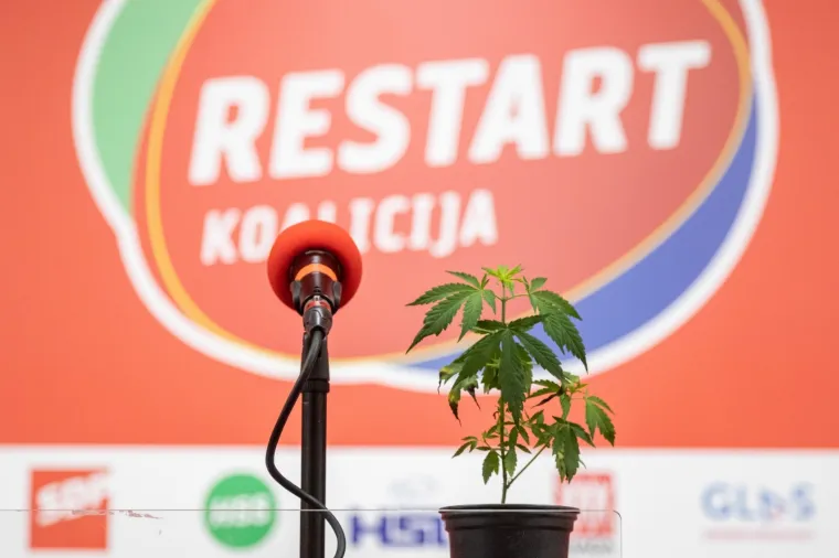 MIRELA HOLY PREDSTAVILA 'LEX CANNABIS': U žardinjeru iza SDP-a posadila jednu biljku