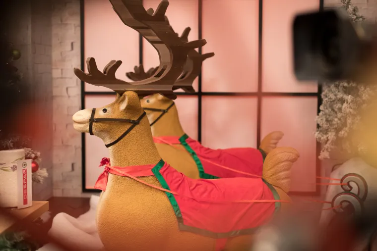 SVE JE SPREMNO ZA POČETAK ‘TRI, DVA, JEDAN – HO HO HO’: Zavirite u prekrasnu božićnu bajku na setu kulinarskog showa
