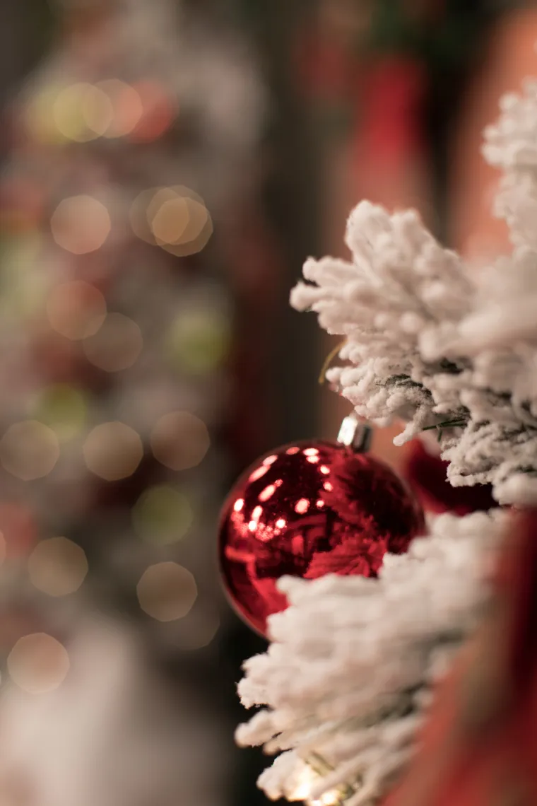 SVE JE SPREMNO ZA POČETAK ‘TRI, DVA, JEDAN – HO HO HO’: Zavirite u prekrasnu božićnu bajku na setu kulinarskog showa
