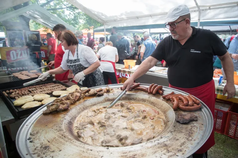 Tisuće ljudi u Kumrovcu na proslavi Dana mladosti
