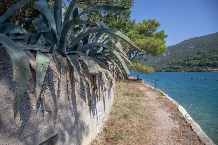 Otok života ima samo jednu stanovnicu: Baka Prospera vjerna je čuvarica ovog skrivenog dragulja već 80 godina