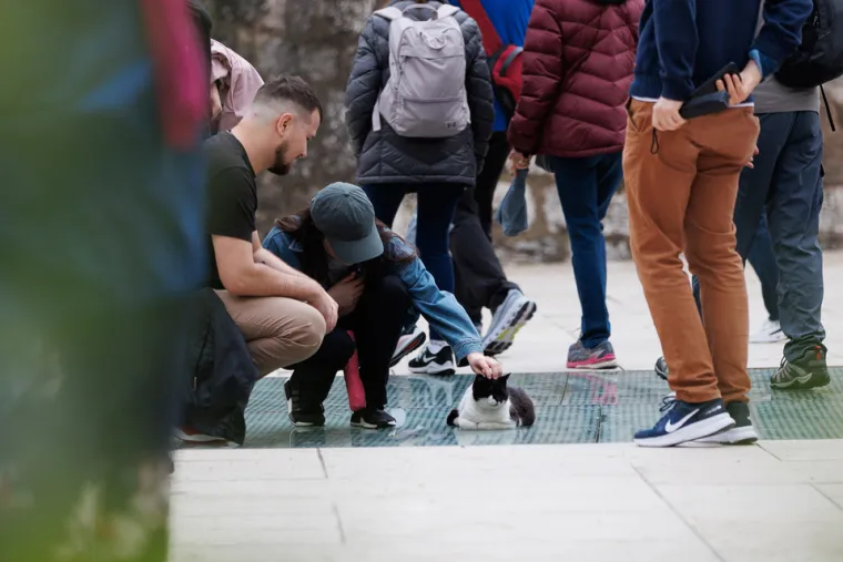 Zadranka outfitom podigla temperaturu: Istaknula uzak struk u kratkom topu