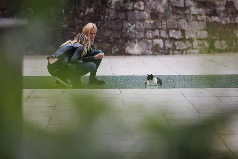 Zadranka outfitom podigla temperaturu: Istaknula uzak struk u kratkom topu