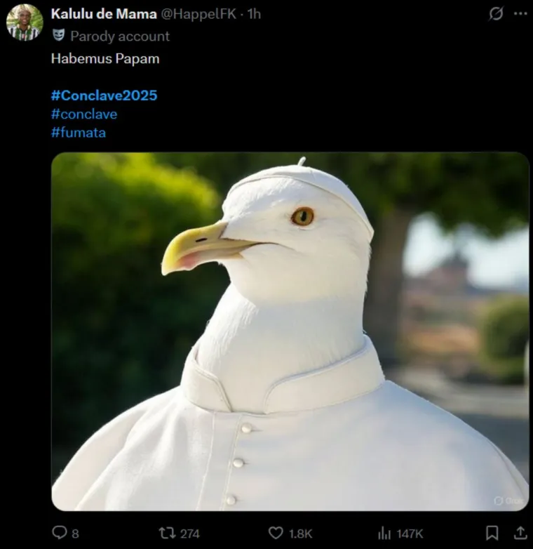 Mreže gore od urnebesnih memeova s konklave: Galeb novi papa, kardinali peku roštilj...