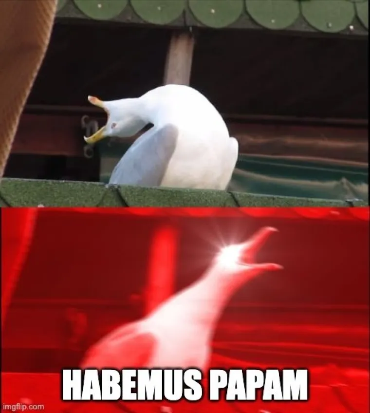 Mreže gore od urnebesnih memeova s konklave: Galeb novi papa, kardinali peku roštilj...