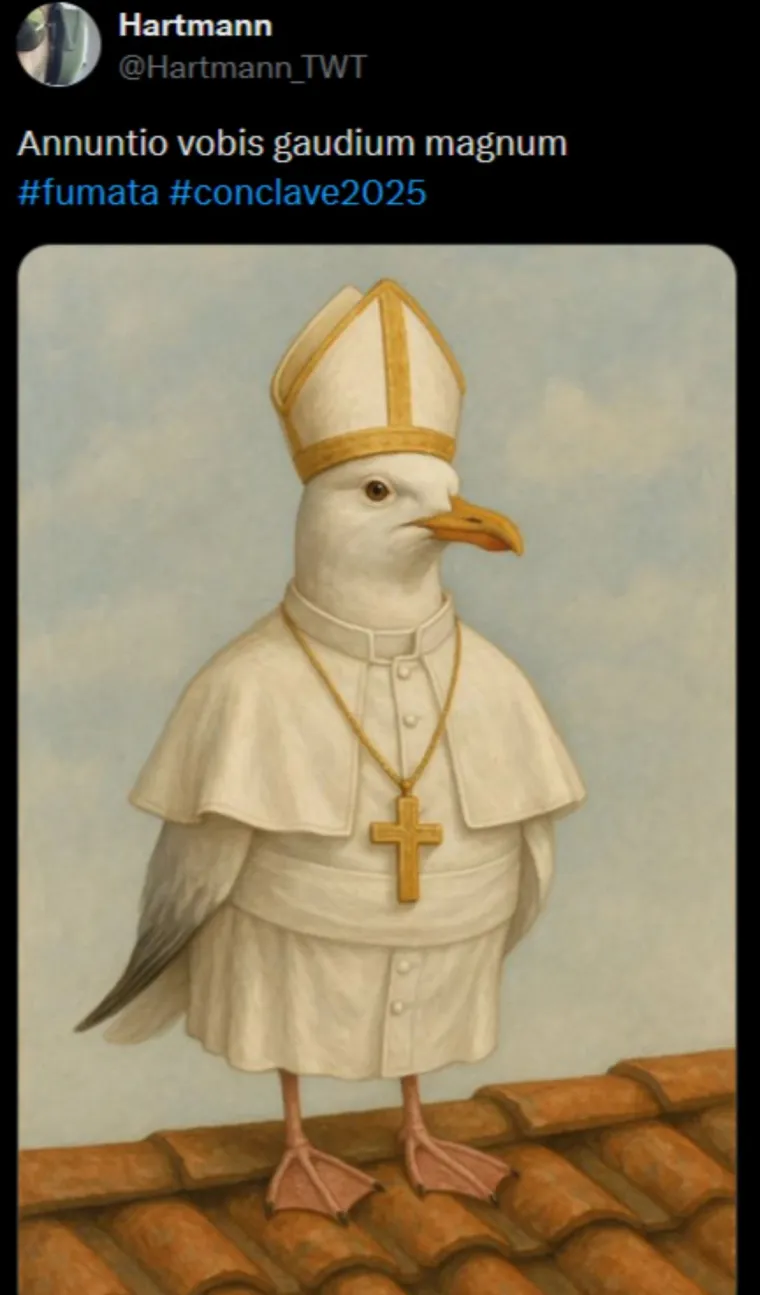 Mreže gore od urnebesnih memeova s konklave: Galeb novi papa, kardinali peku roštilj...